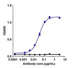 Tavolixizumab Humanized Recombinant Human Monoclonal Antibody
