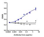 PCSK9 (Alirocumab Biosimilar) Recombinant Human Monoclonal Antibody