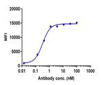 CD100 (SEMA4D) (Pepinemab Biosimilar) Recombinant Humanized mouse Monoclonal Antibody