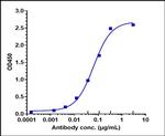 Stabilin 1 (Bexmarilimab Biosimilar) Antibody in ELISA (ELISA)