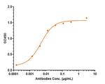 Gosuranemab Chimeric Recombinant Human Monoclonal Antibody