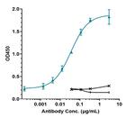 TGF beta-1 (Linavonkibart Biosimilar) Recombinant Human Monoclonal Antibody