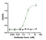 Bintrafusp Alfa Recombinant Human Monoclonal Antibody