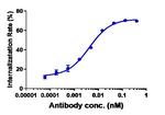 Sacituzumab Humanized Antibody in Functional Assay (Functional)