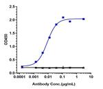 Ianalumab Recombinant Human Monoclonal Antibody