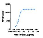 Cannabinoid Receptor 1 Biosimilar Recombinant Human Monoclonal Antibody