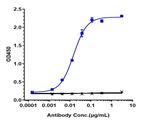IFNAR1 (Anifrolumab Biosimilar) Antibody in ELISA (ELISA)