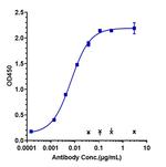 BTN1A1 (Biosimilar) Antibody in ELISA (ELISA)