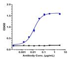 CD131 (CSF2RB) (Trabikibart Biosimilar) Antibody in ELISA (ELISA)