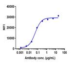 Trabikibart Recombinant Human Monoclonal Antibody