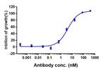 Trabikibart Antibody in Functional Assay (Functional)