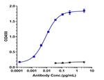 Indusatumab Antibody in ELISA (ELISA)
