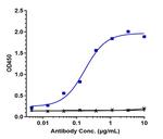 CXCR3 (Biosimilar) Recombinant Human Monoclonal Antibody