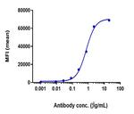 5T4 Humanized Biosimilar Recombinant Human Monoclonal Antibody