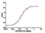 MRC2 (Biosimilar) Recombinant Human Monoclonal Antibody