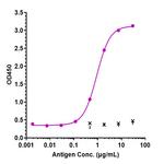 Eculizumab Humanized Recombinant Human Monoclonal Antibody