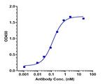 Drozitumab Recombinant Human Monoclonal Antibody