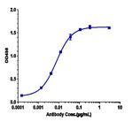 beta Amyloid Humanized Biosimilar Recombinant Human Monoclonal Antibody