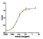 beta Amyloid (Biosimilar) Recombinant Human Monoclonal Antibody
