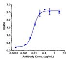 Alsevalimab Antibody in ELISA (ELISA)