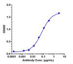 B7-H4 Biosimilar Recombinant Human Monoclonal Antibody