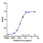 TFPI (Concizumab Biosimilar) Recombinant Human Monoclonal Antibody