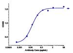 CD20 (Biosimilar) Antibody in ELISA (ELISA)