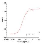 CD38 (Mezagitamab Biosimilar) Recombinant Human Monoclonal Antibody
