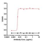 E-cadherin Humanized Biosimilar Recombinant Human Monoclonal Antibody