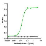 IL-6 (Elsilimomab Biosimilar) Antibody in ELISA (ELISA)