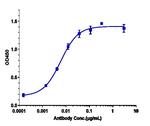 Gimsilumab Recombinant Human Monoclonal Antibody