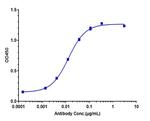 Gimsilumab Antibody in ELISA (ELISA)