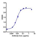 Namilumab Recombinant Human Monoclonal Antibody