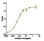beta Amyloid Biosimilar Recombinant Human Monoclonal Antibody