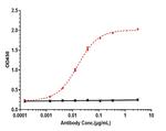 Depatuxizumab Chimeric Antibody in ELISA (ELISA)