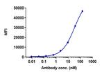 Depatuxizumab Chimeric Recombinant Human Monoclonal Antibody