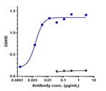 Necitumumab Antibody in ELISA (ELISA)