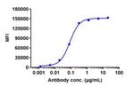 Necitumumab Recombinant Human Monoclonal Antibody