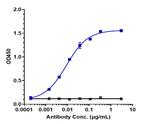 Her-3 (ErbB3) (Barecetamab Biosimilar) Recombinant Human Monoclonal Antibody