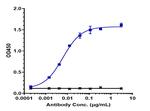 Her-3 (ErbB3) (Lumretuzumab Biosimilar) Recombinant Humanized mouse Monoclonal Antibody
