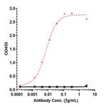 CD47 (Lemzoparlimab Biosimilar) Recombinant Human Monoclonal Antibody