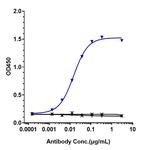 Human IgE (Talizumab Biosimilar) Recombinant Humanized mouse Monoclonal Antibody