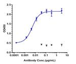 FCRN (Nipocalimab Biosimilar) Recombinant Human Monoclonal Antibody