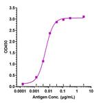 CD45 (Biosimilar) Recombinant Human Monoclonal Antibody