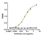 IL-23 p19 (Risankizumab Biosimilar) Recombinant Humanized mouse Monoclonal Antibody