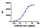 Ocrelizumab Humanized Recombinant Human Monoclonal Antibody