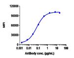 Ofatumumab Recombinant Human Monoclonal Antibody