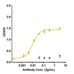 IL-6 (Biosimilar) Antibody in ELISA (ELISA)