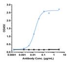 IL-6 (Biosimilar) Antibody in ELISA (ELISA)