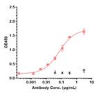 IL-6 (Sirukumab Biosimilar) Antibody in ELISA (ELISA)